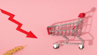 Fenomena Downgrading Menguat, Ekonom UGM Ingatkan Dampak Tekanan Daya Beli