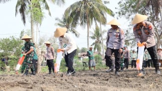 Polres dan Pemkab Kulonprogo Galakkan Penanaman Jagung untuk Swasembada Pangan 2026