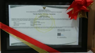 Kopi Liberika Menoreh Resmi Diakui Nasional, Varietas Lokananta dan Trajumas Siap Angkat Nama Kulonprogo