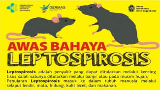 Masuki Musim Penghujan, Dinkes Kota Yogyakarta Imbau Warga Waspadai DBD, Leptospirosis, dan Diare