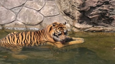 img_title