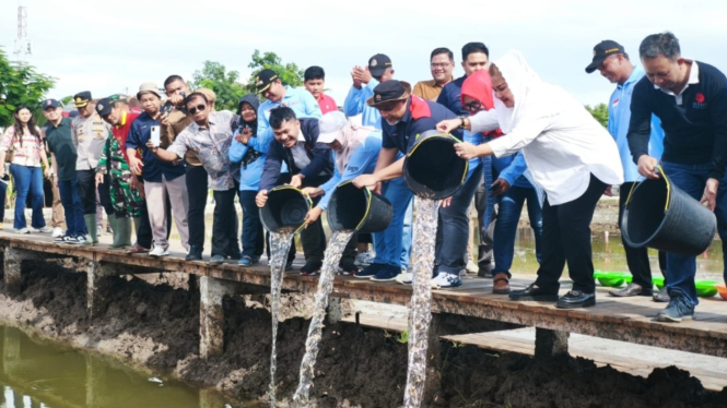 PGN-BRIN-Pemkot Semarang mulai garap 20 hektare padi biosalin