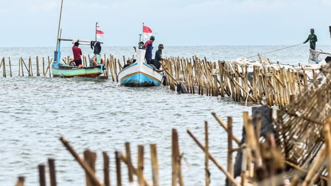 Pencabutan pagar laut di perairan Tangerang