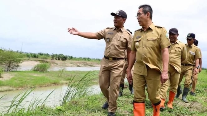 Herda Helmijaya dan BBWS Pemali Juwana monitor perbaikan tanggul jebol