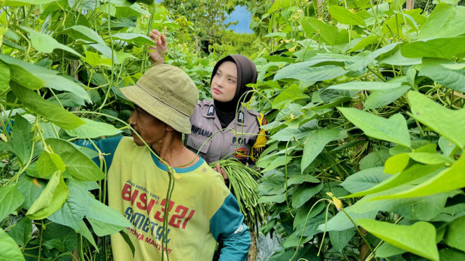 Brigpol Sufiana Maya ditengah kebun sayur warga