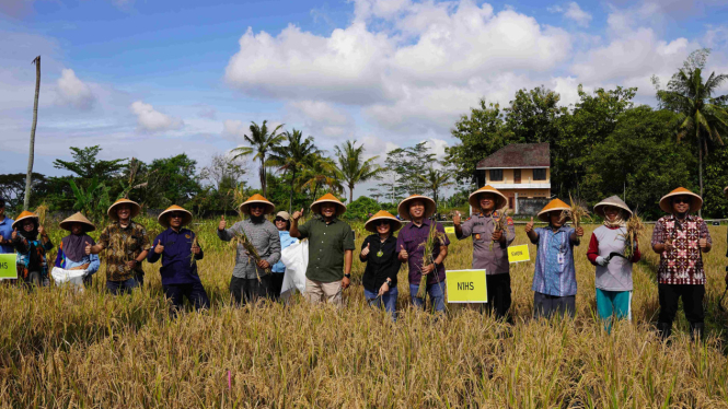 Uji coba pertanian dengan Gamahumat