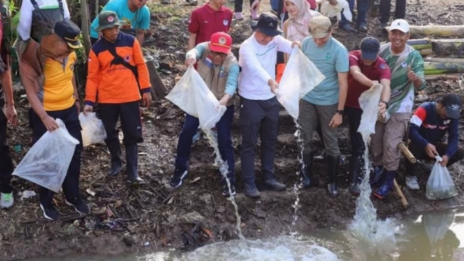 Bupati Sam'ani Intakoris menebar benih ikan di sungai Nolo Kudus.
