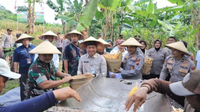 Pemkab Kudus usulkan jenis jagung yang ditanam semakin bervariasi.