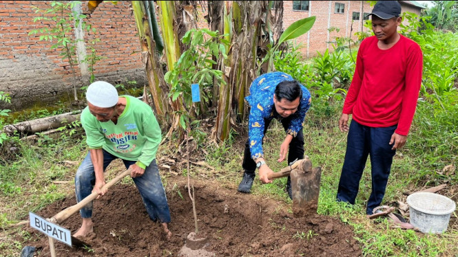 Bupati Witiarso tanam bibit buah di SMK Hadziqiyyah Nalumsari