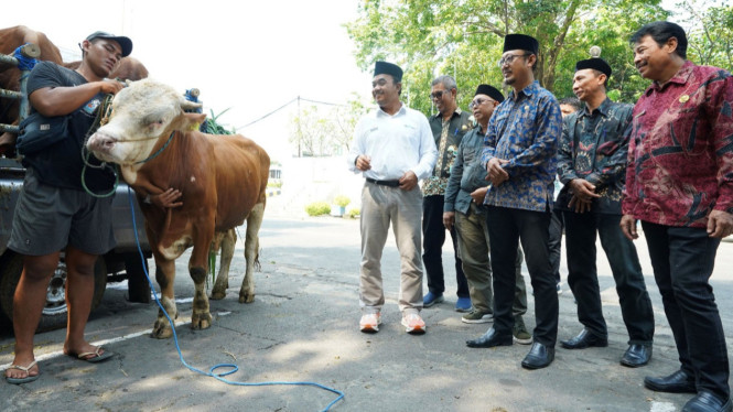 SIG Berqurban