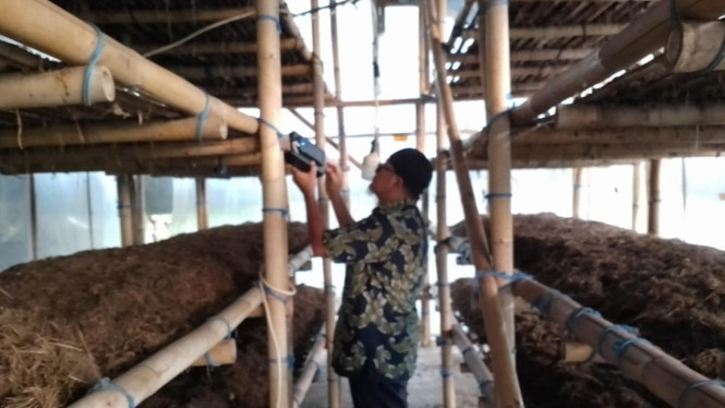 Inovasi IoT Budidaya Jamur Merang
