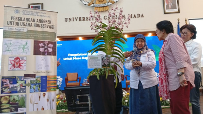Megawati Soekarnoputri mencoba persilangan anggrek di UGM