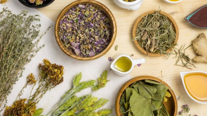 Rempah bahan obat herbal Indonesia