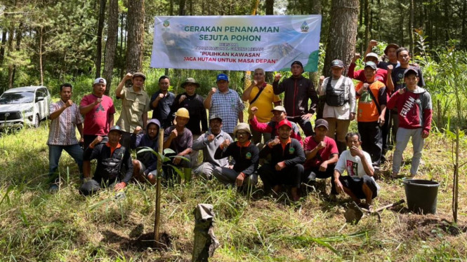 Penanaman satu juta pohon di kawasan Gunung Merapi