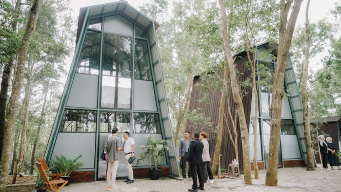 Glamping Pinus Pengger, Babak Baru Wisata Alam Bantul