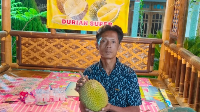 Durian Asli Karanganyar