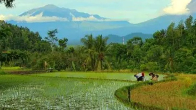 Destinasi wisata di Kulonprogo