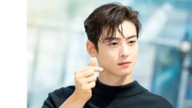 Cha Eunwoo Terlibat Penggelapan Pajak