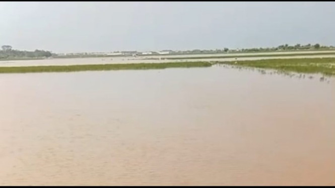 Ratusan hektare sawah di Batang terendam banjir
