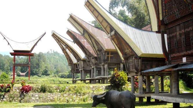 Bangunan Tradisional Toraja
