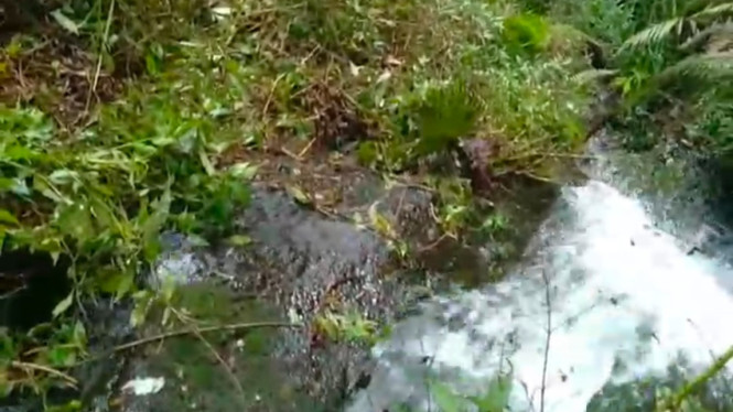 Inilah aliran sungai evakuasi jenazah pendaki Gunung Mongkrang