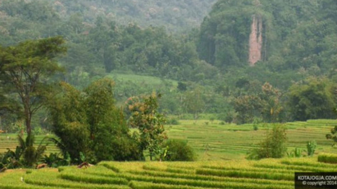 Desa Pendoworejo