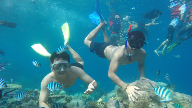 Pulau Menjangan Kecil surga snorkeling bagi wisatawan