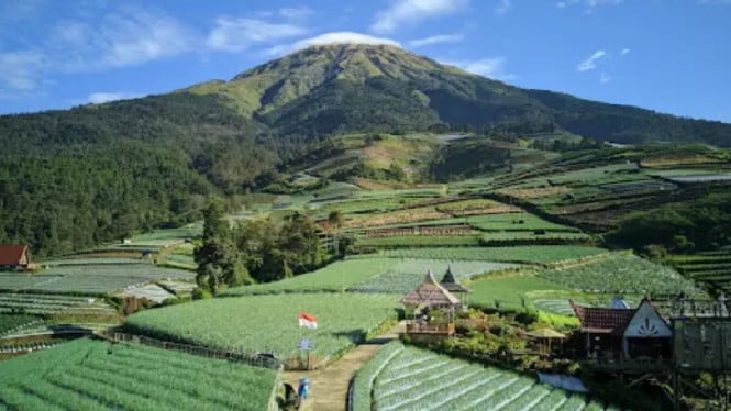Terasering Sitegong