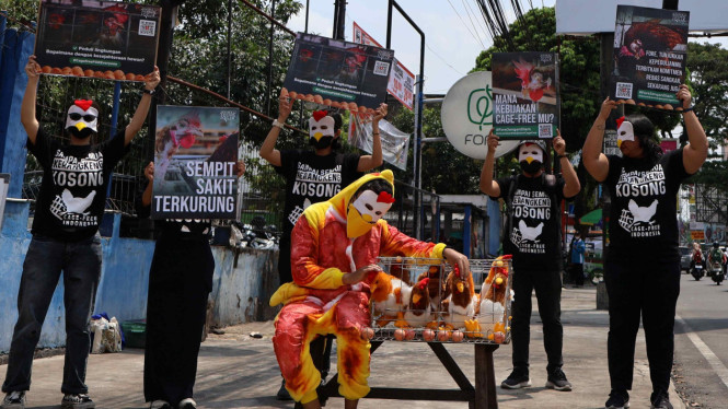 Komitmen telur bebas sangkar Animal Friends Jogja