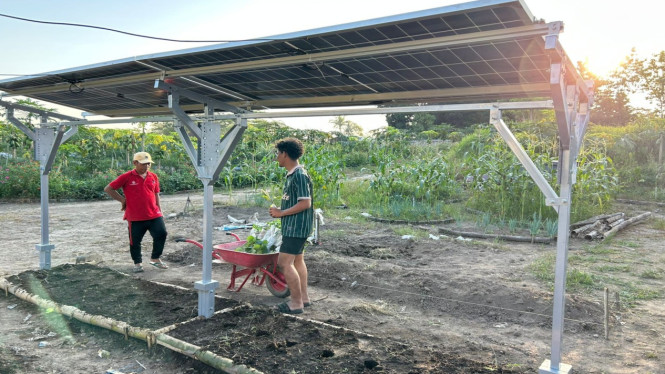 Teknologi panel surya agrovoltaic