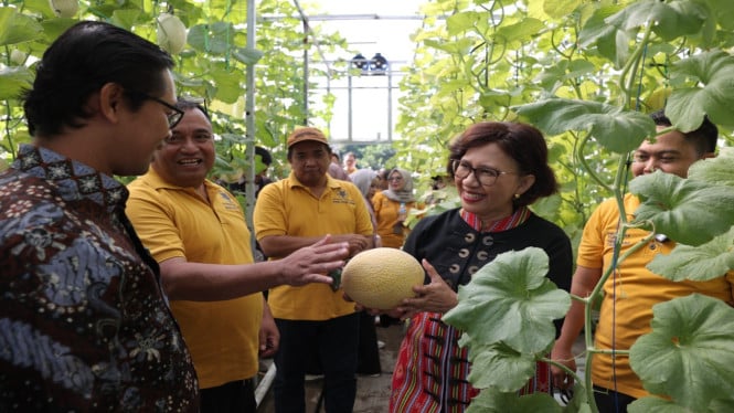 Rektor UGM tinjau riset dan hilirisasi inovasi bidang pertanian