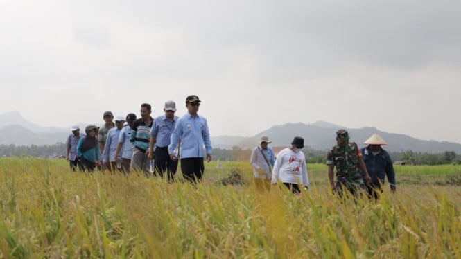 Jajaran pejabat Pemkab Kulonprogo turun langsung melakukan survei lokasi calon lahan pengganti TKD