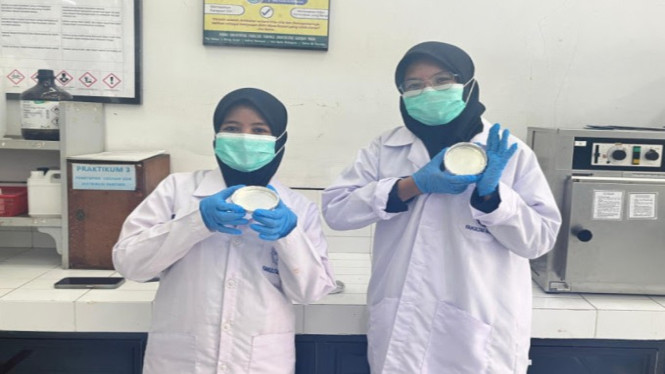 Tim PKM-RE BRANOVATE UGM mengembangkan plester transdermal berbasis nanoemulsi ekstrak bekatul beras putih
