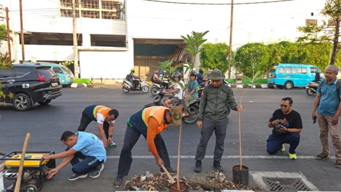 Ditegur Netizen Gara-gara Tanam Pohon di Tepi Jalan, Ini Penjelasan Bupati Kudus