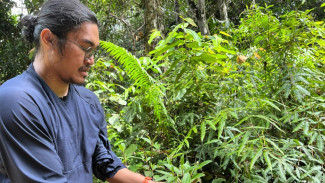 Peneliti Unmul dan YKAN, Temukan Anti Kanker dari Pakan Orangutan
