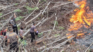 Api Membakar Perbukitan, Ditsamapta Polda Kaltara Turun Tangan Padamkan Karhutla