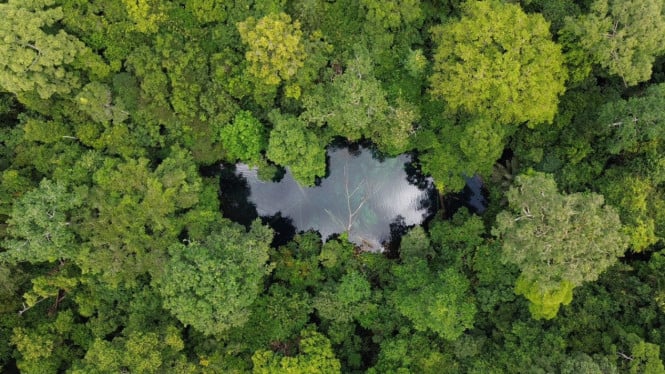Biduk-biduk adalah Destinasi wisata pantai, danau dan hutan karst