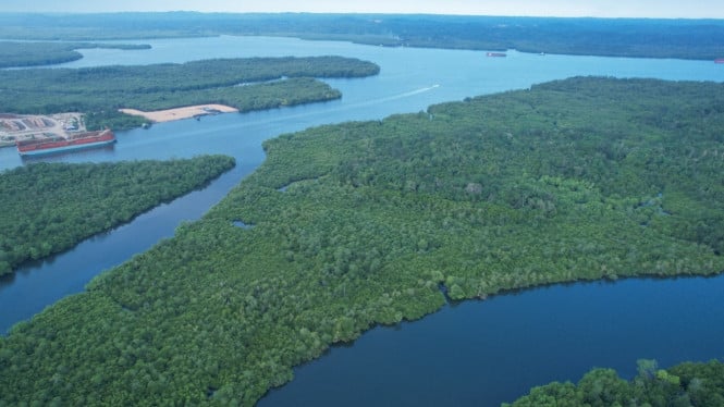 Pulau Kelawasan