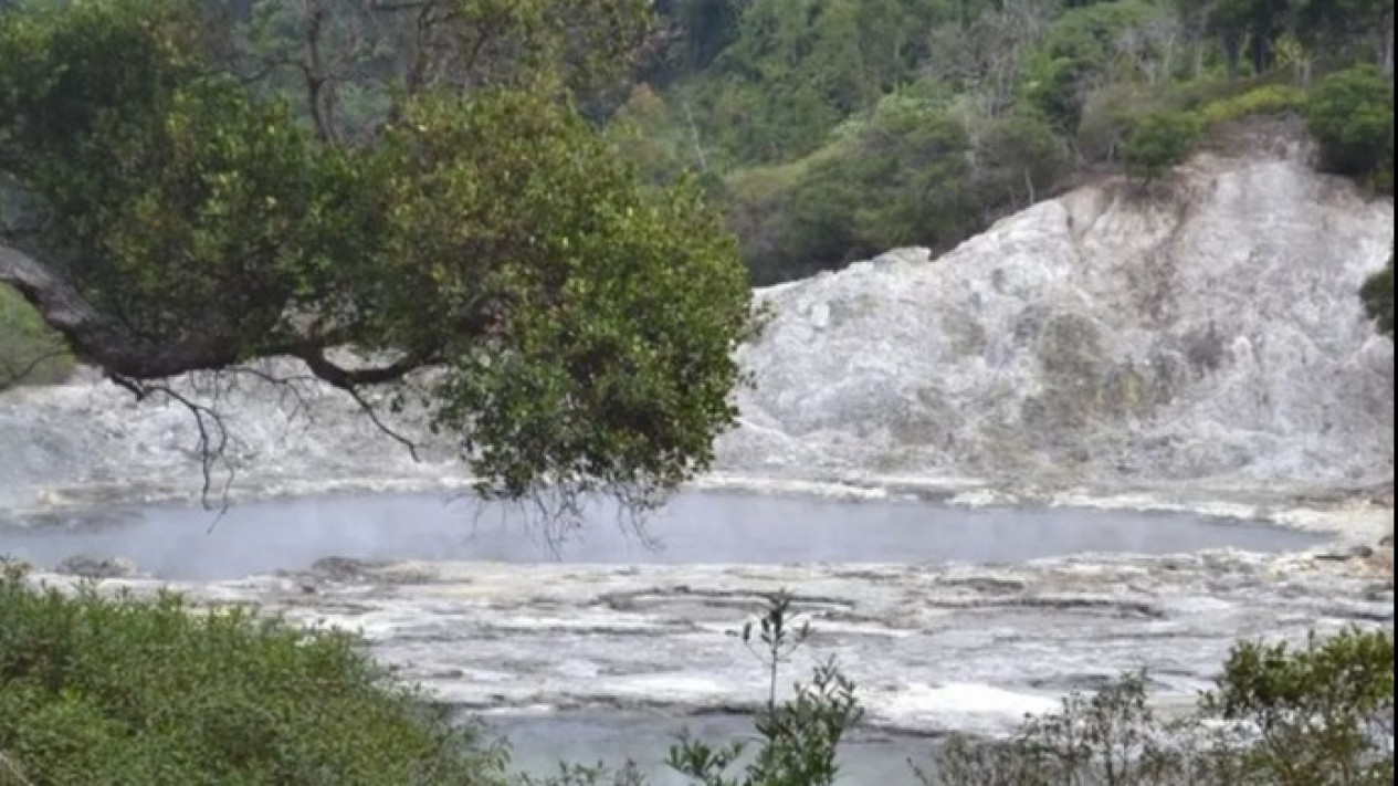 Pesona Taman Gemburak di Kawasan Hutan TNBBS