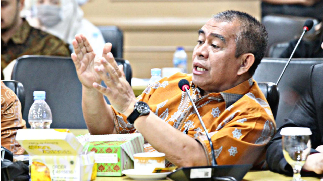 Bustami Zainudin, Anggota DPD RI