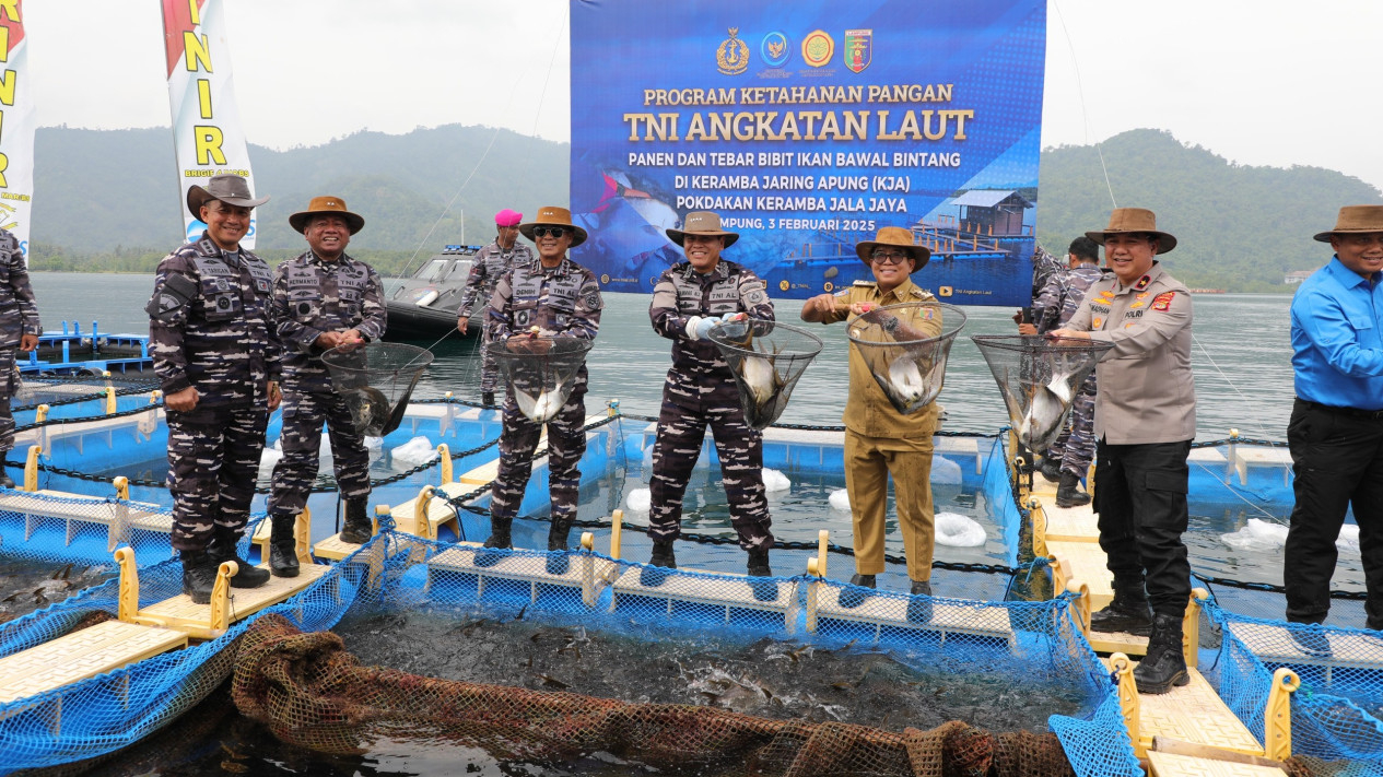 Panen ikan bawal di keramba jaring apung, Lampung.