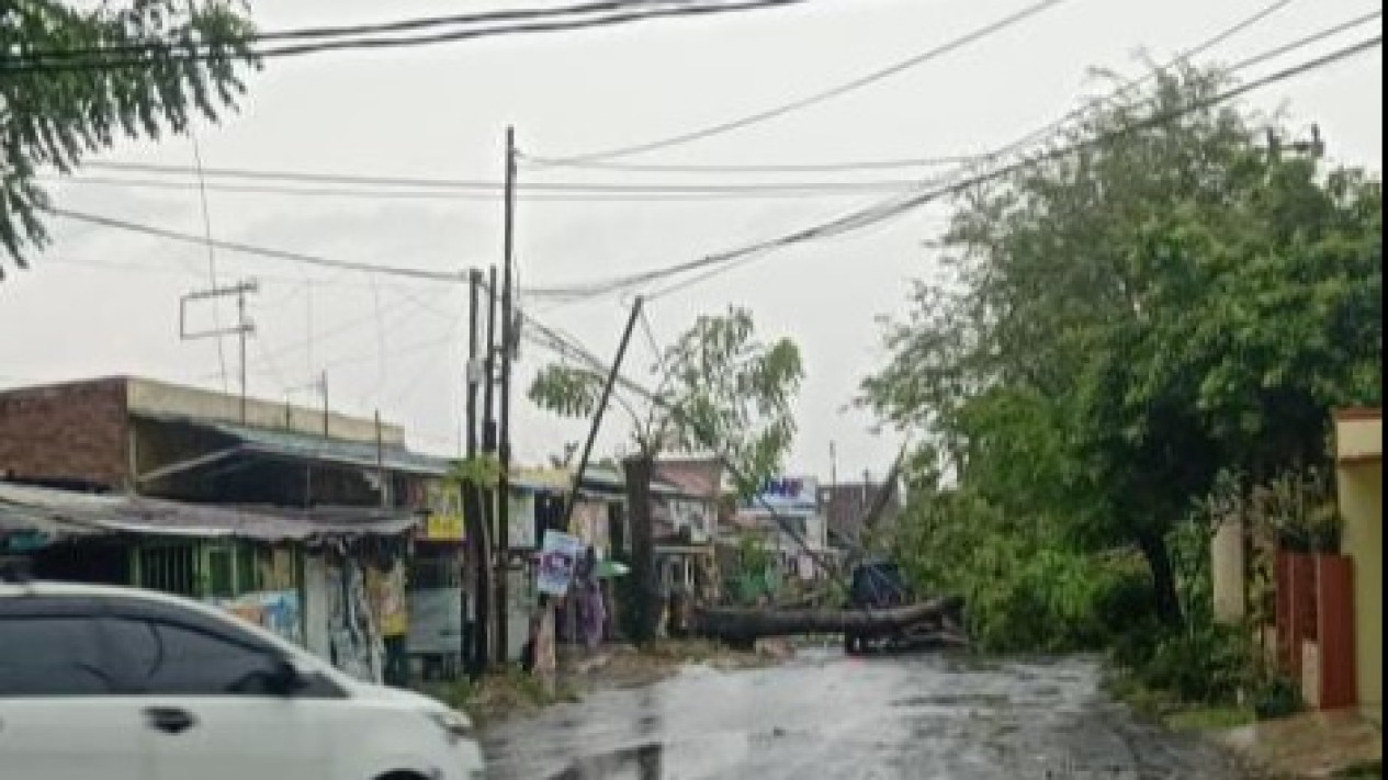 Pohon tumbang menimpa mobil di Way Dadi, Bandar Lampung.