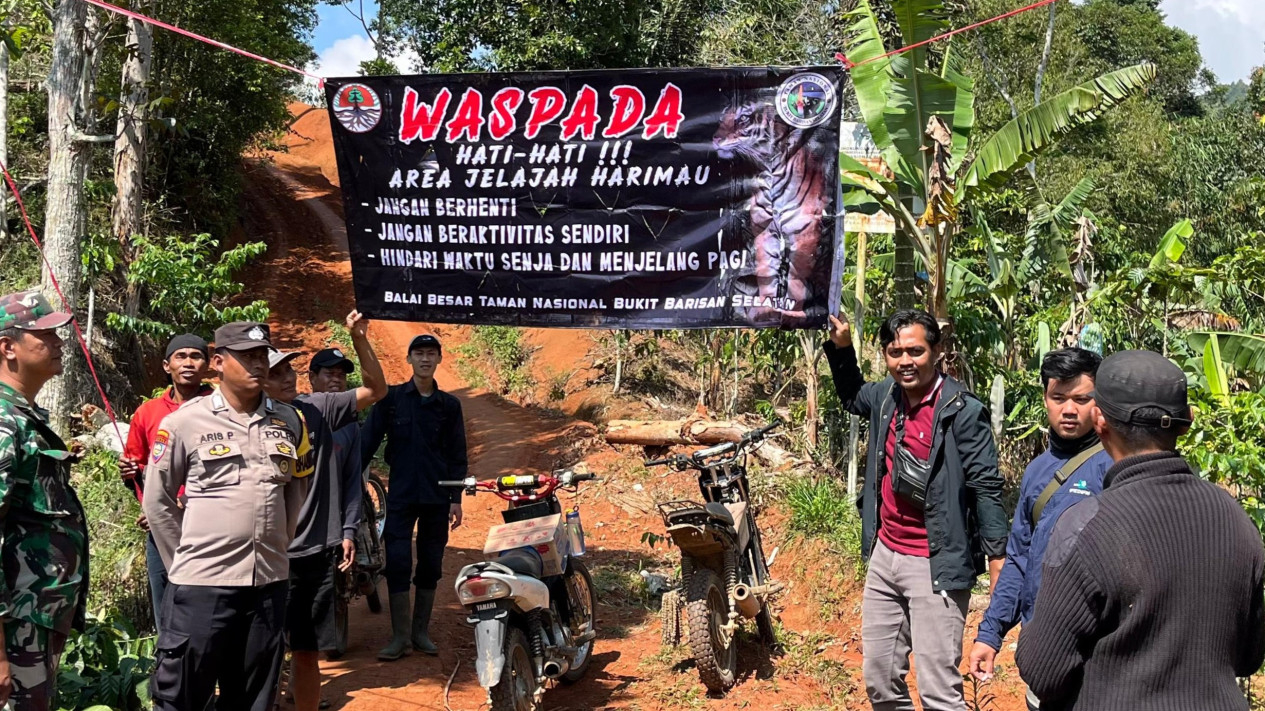 Pemasangan banner berisi himbauan bahaya Harimau.