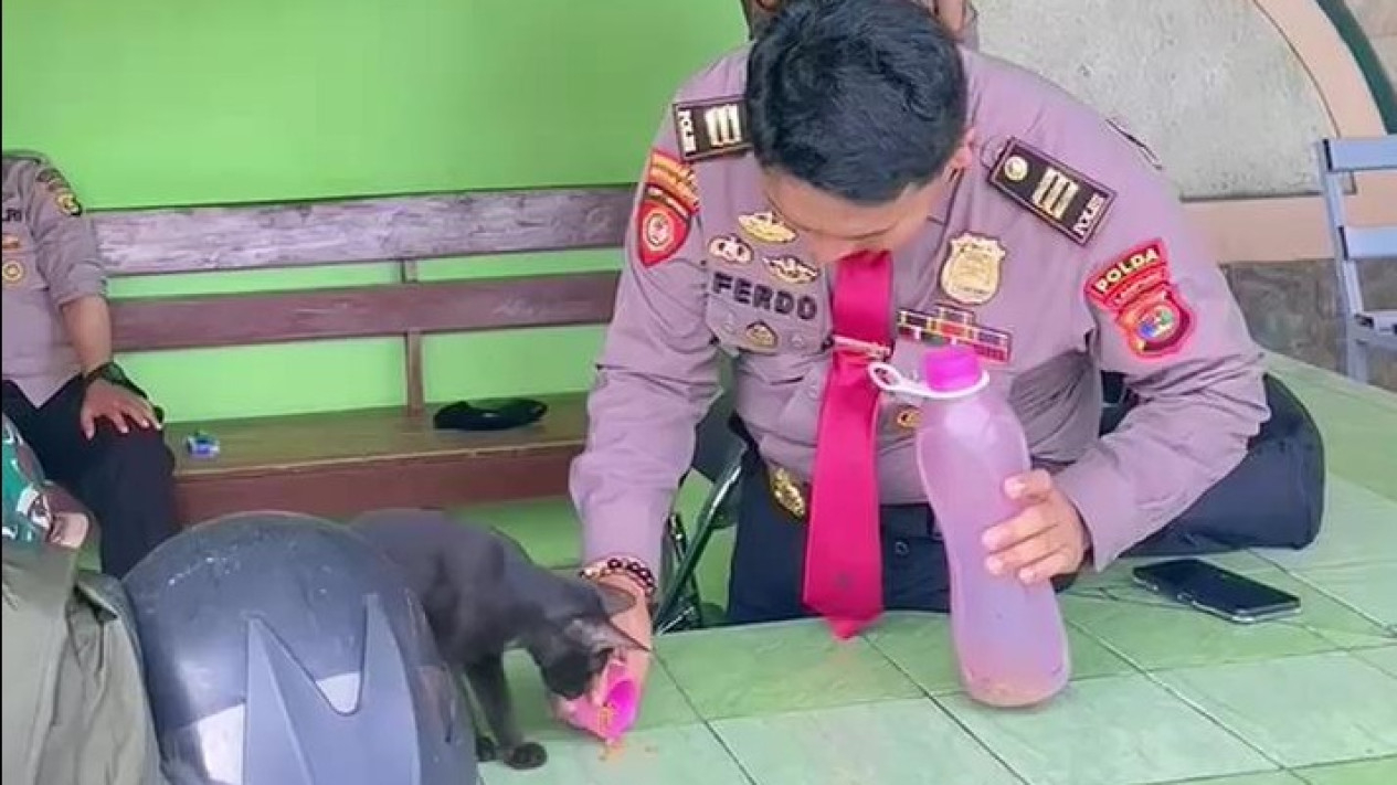AKP Ferdo Elfianto tunjukkan cinta pada kucing liar.