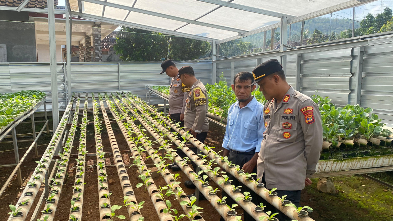 Dorong ketahanan pangan lewat lomba perkarangan bergizi.