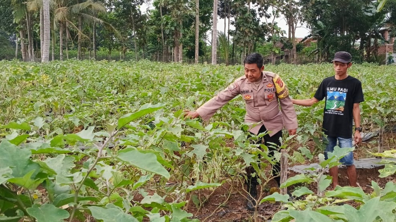 Bhabinkamtibmas Polres Pesawaran monitoring lahan warga.
