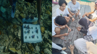 Kegiatan Transplantasi Terumbu Karang