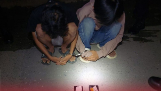 Article