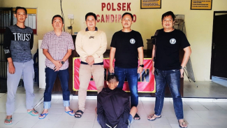 Article