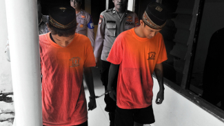 Article